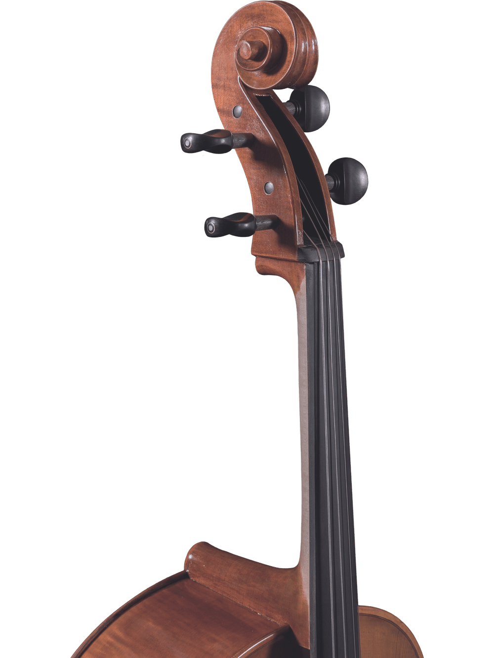 Lady Claire Cello — Maple Leaf Strings